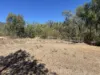 32 Copeton Dam Road, Bingara, NSW 2404-Image
