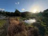 32 Tuesday Drive, Tallebudgera Valley, Qld 4228-Image