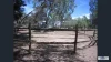 321 Hayman Road, Lewiston, SA 5501-Image