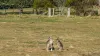 3215 Old Hume Highway, Berrima, NSW 2577-Image