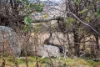 322 Bobundara Road, Berridale, NSW 2628-Image