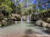 3221 Kyogle Road, Mount Burrell, NSW 2484-Image