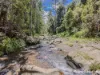 3221 Kyogle Road, Mount Burrell, NSW 2484-Image