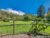 3221 Kyogle Road, Mount Burrell, NSW 2484-Image