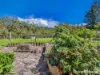 3221 Kyogle Road, Mount Burrell, NSW 2484-Image