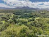 3221 Kyogle Road, Mount Burrell, NSW 2484-Image