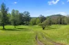 324 Lower Colo Road, Lower Portland, NSW 2756-Image