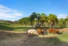 33 Aroona Crescent, Bilambil, NSW 2486-Image