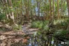 33 Summer Hill Close, Stokers Siding, NSW 2484-Image