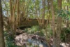33 Summer Hill Close, Stokers Siding, NSW 2484-Image