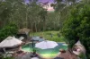 333 Owens Road, Martinsville, NSW 2265-Image