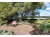 334 Detloff Road, Forster, SA 5238-Image