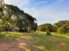 334 Pimpala Road, Woodcroft, SA 5162-Image