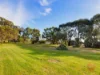 334 Pimpala Road, Woodcroft, SA 5162-Image