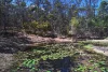 335-349 Boyle Road, Belli Park, Qld 4562-Image