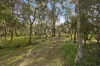 335 Bruce Crescent, Wallarah, NSW 2259-Image