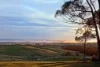 335 Whitelaws Track, Yinnar South, Vic 3869-Image