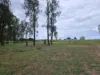 338 Catherine Fields Road, Catherine Field, NSW 2557-Image