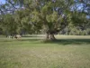 339 Dairyville Road, Upper Orara, NSW 2450-Image