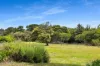 339 Nepean Highway, Mount Martha, Vic 3934-Image