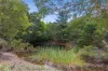 339 Nepean Highway, Mount Martha, Vic 3934-Image