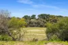 339 Nepean Highway, Mount Martha, Vic 3934-Image