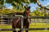34 Collaroy Road, Guanaba, Qld 4210-Image