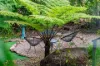 34 Cox Road, Peeramon, Qld 4885-Image
