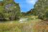34 Cox Road, Peeramon, Qld 4885-Image