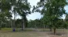 34 Elouera Drive, Nanango, Qld 4615-Image