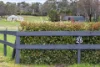 34 Felix Street, Woodside, SA 5244-Image