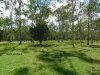 34 Ironbark Place, Nanango, Qld 4615-Image