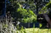 34 Manor Hill Close, Holgate, NSW 2250-Image