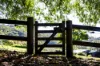 34 Manor Hill Close, Holgate, NSW 2250-Image