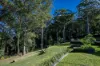 34 Manor Hill Close, Holgate, NSW 2250-Image