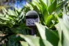 34 Manor Hill Close, Holgate, NSW 2250-Image