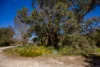 34 Martins Road, Naracoorte, SA 5271-Image