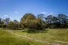 34 Martins Road, Naracoorte, SA 5271-Image