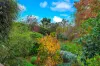 34 Scott St, Kersbrook, SA 5231-Image
