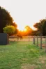 34 Stuartfield Avenue, Romsey, Vic 3434-Image