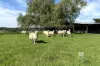 340 Dockertys Road, Wy Yung, Vic 3875-Image