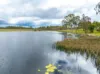343 Suthers Road, Dunmora, Qld 4650-Image