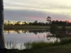 343 Suthers Road, Dunmora, Qld 4650-Image