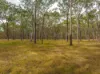 343 Suthers Road, Dunmora, Qld 4650-Image