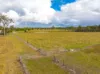 343 Suthers Road, Dunmora, Qld 4650-Image