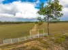 343 Suthers Road, Dunmora, Qld 4650-Image