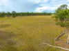 343 Suthers Road, Dunmora, Qld 4650-Image