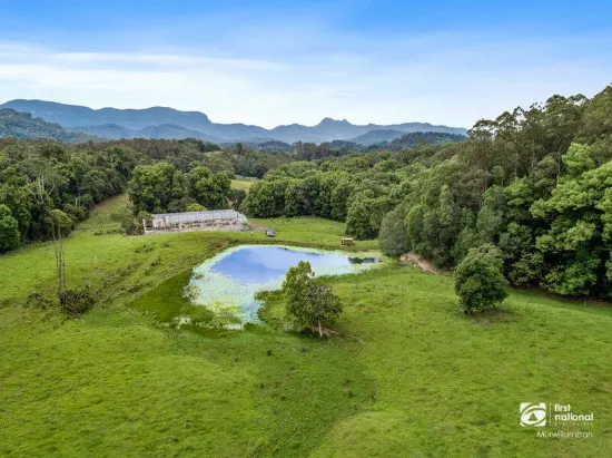 345 Chilcotts Road, Chillingham, NSW 2484