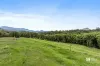 345 Chilcotts Road, Chillingham, NSW 2484-Image