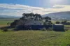 346 Cove Hill Road, Honeywood, Tas 7017-Image